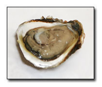 Naked Cowboy Oysters